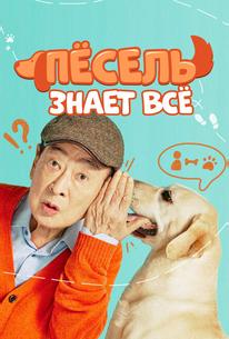 Пёсель знает всё