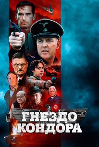 Гнездо кондора