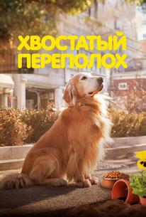 Хвостатый переполох