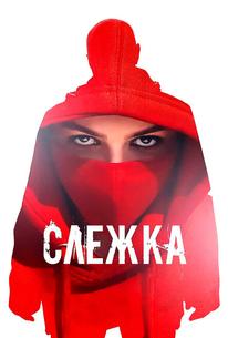 Слежка