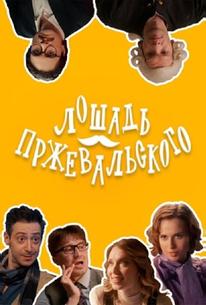 Лошадь Пржевальского