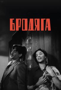 Бродяга