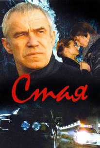 Стая