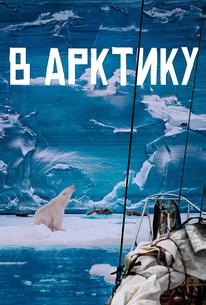 В Арктику