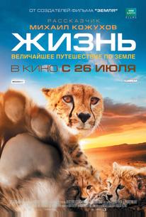 Жизнь