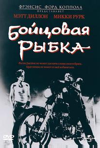 Бойцовая рыбка