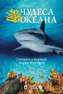 Чудеса океана