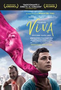 Вива