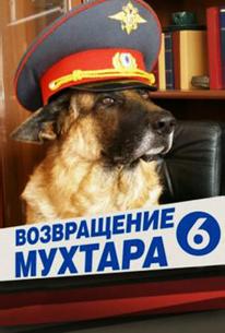 Возвращение Мухтара 6