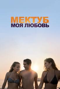 Мектуб, моя любовь