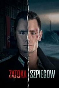 Шпионская бухта