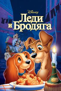 Леди и бродяга