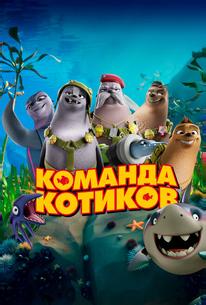 Команда котиков
