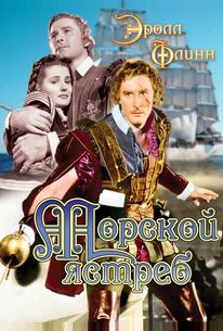 Морской ястреб