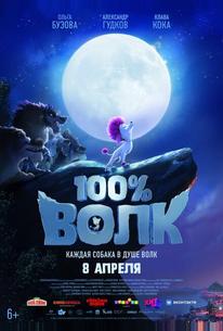 100% Волк