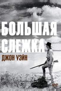 Большая слежка