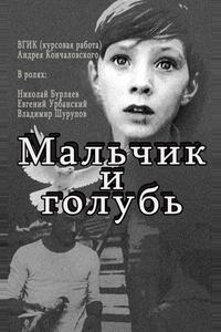 Мальчик и голубь