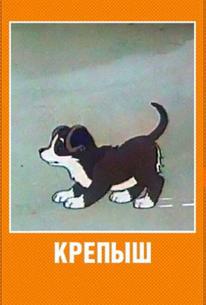 Крепыш