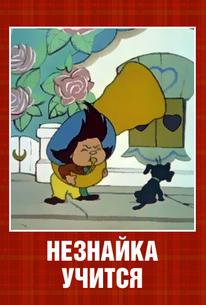 Незнайка учится
