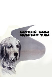 Белый Бим Черное ухо