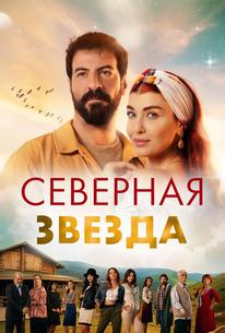 Полярная звезда
