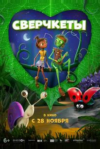 Сверчкеты