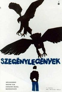 Без надежды
