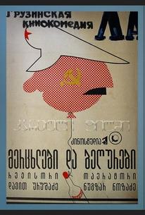 Ласточки и воробьи