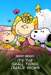 It's the Small Things, Charlie Brown