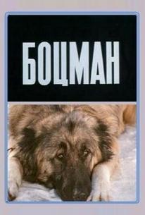 Боцман