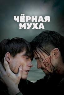 Черная муха