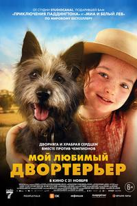 Мой любимый двортерьер