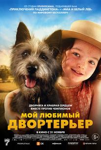 Мой любимый двортерьер