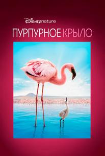 Пурпурное крыло