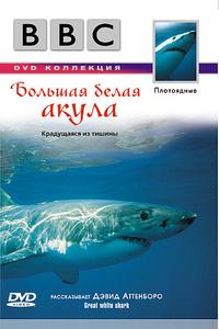 BBC: Большая белая акула