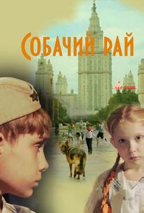 Собачий рай