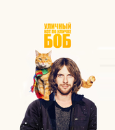 Уличный кот по кличке Боб