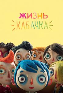 Жизнь кабачка