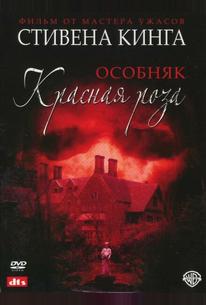 Особняк «Красная роза»