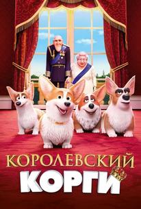 Королевский корги