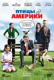Птицы Америки