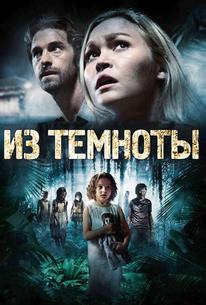 Из темноты